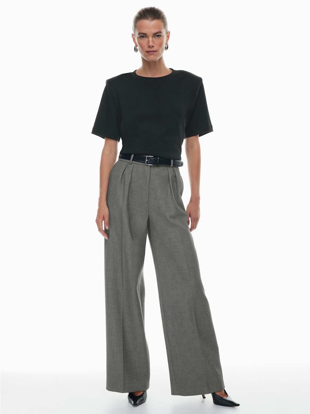Babaton Aritizia Pleated Wide Leg Pant 6 #100423
